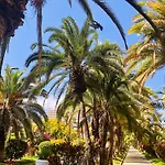 Apartament Estudio Tinerfe Puerto de la Cruz (Tenerife)