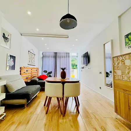 Apartment Estudio Tinerfe Puerto de la Cruz (Tenerife)